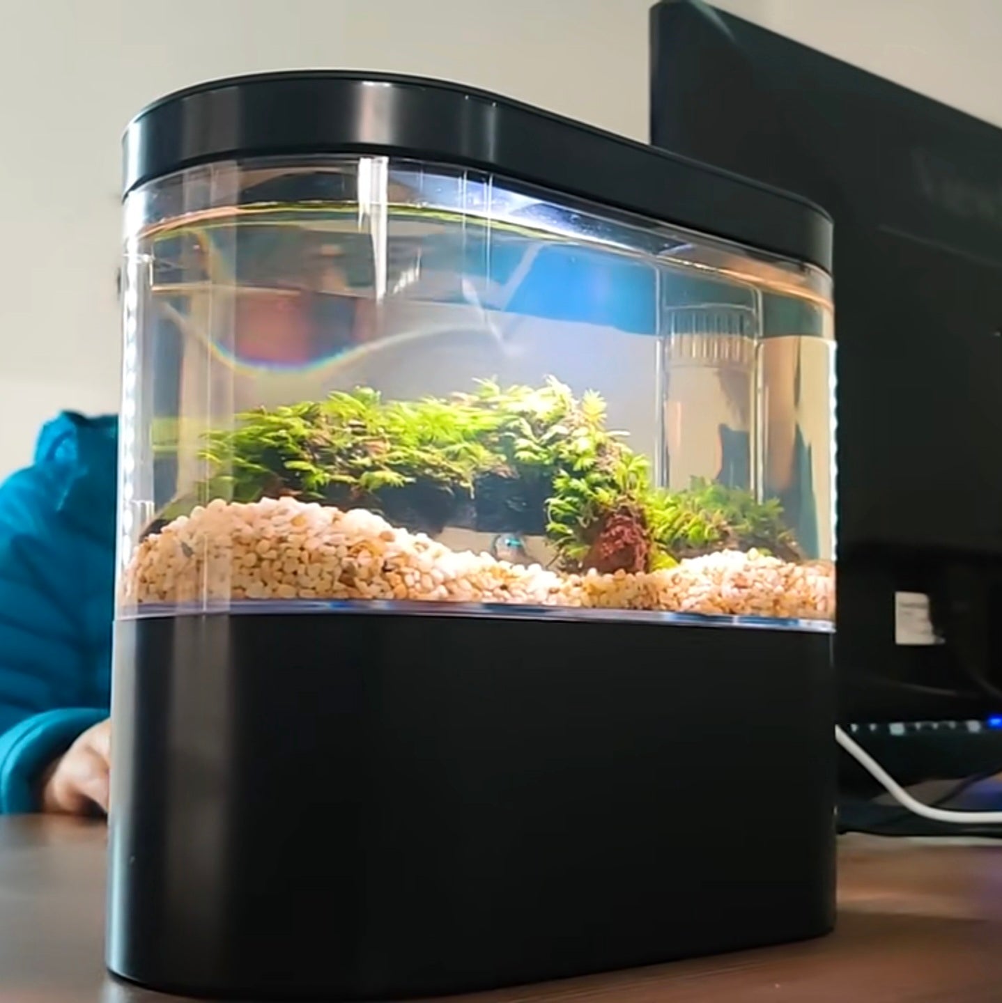 Mini Aquarium de bureau - Fontaine Raffinée -